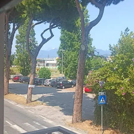 Vale Viareggio