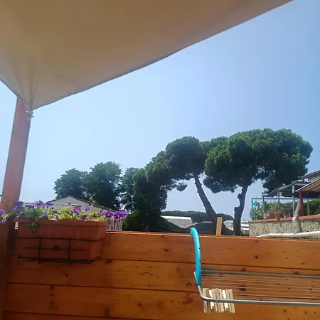 Apartment Vale